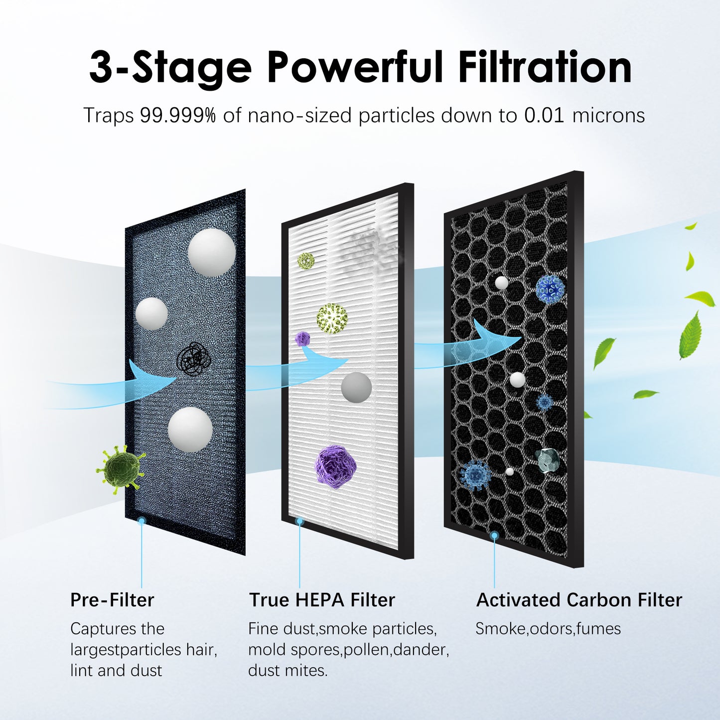 Replacement HEPA + Carbon Filter for Sejoy AP-2202