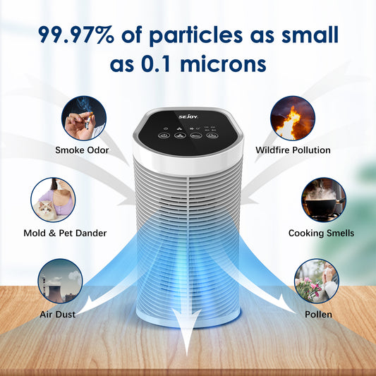 Reliveness Air Purifier HEPA + Carbon Filter / 99.99% Removal, Powered by Sejoy